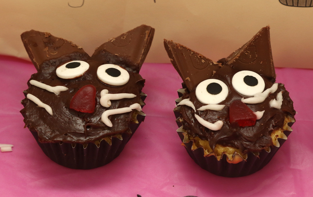 Cupcakes from cupcake wars in second grade