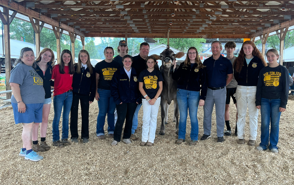 Walton FFA members at the Delaware County Fair