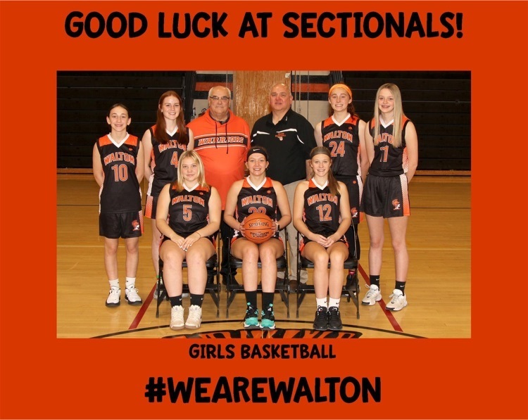 Walton CSD girls basketball team